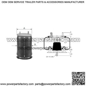 Rolling Lobe Air Spring