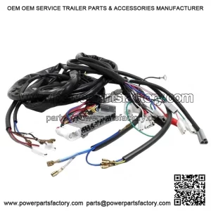 Complete Electrical Wiring System for VESPA PX 125/150/200 (2001-2007).